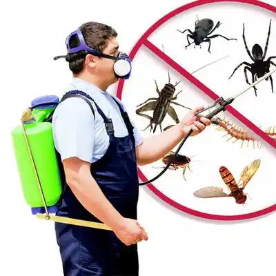 pest control North Wilkesboro